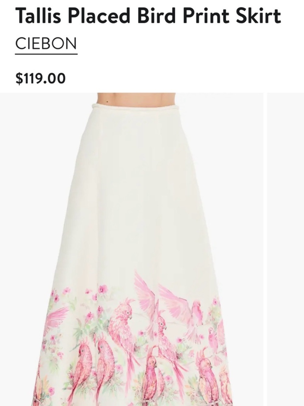 Cream Maxi Skirt with Pink Parrot Border - Picture 9 of 9
